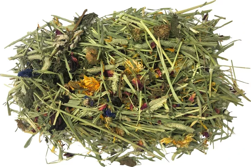 Komodo Tortoise Hay with wildflowers