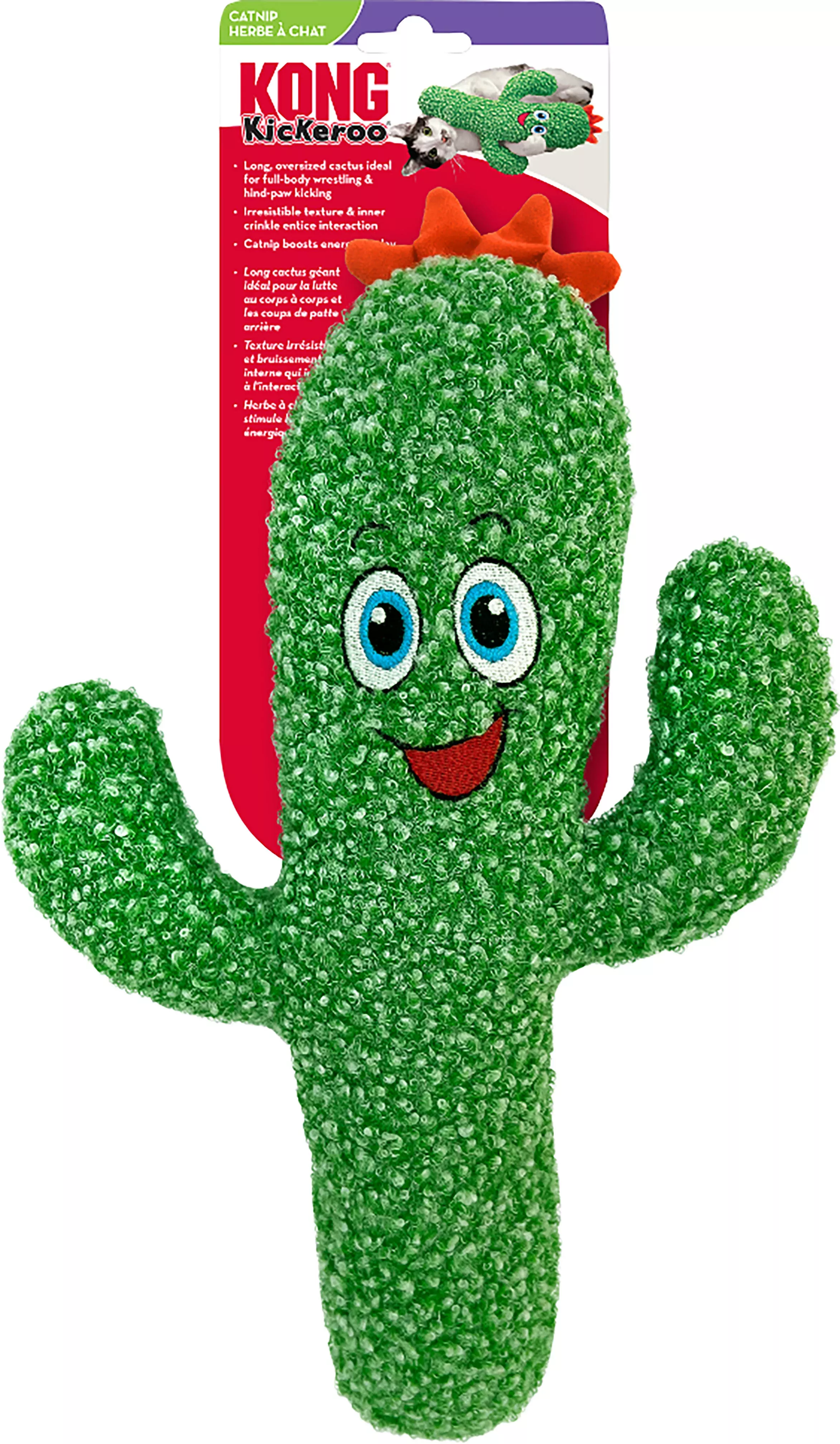 Kong Kickeroo - Cactus