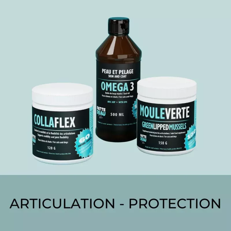 L'ensemble Articulations-PROTECTION