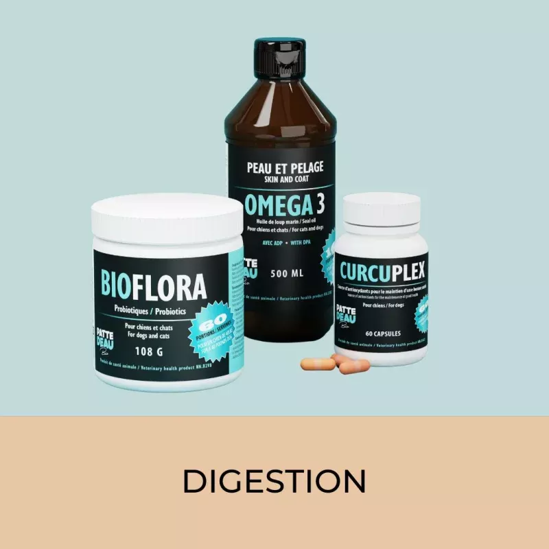 L'ensemble DIGESTION