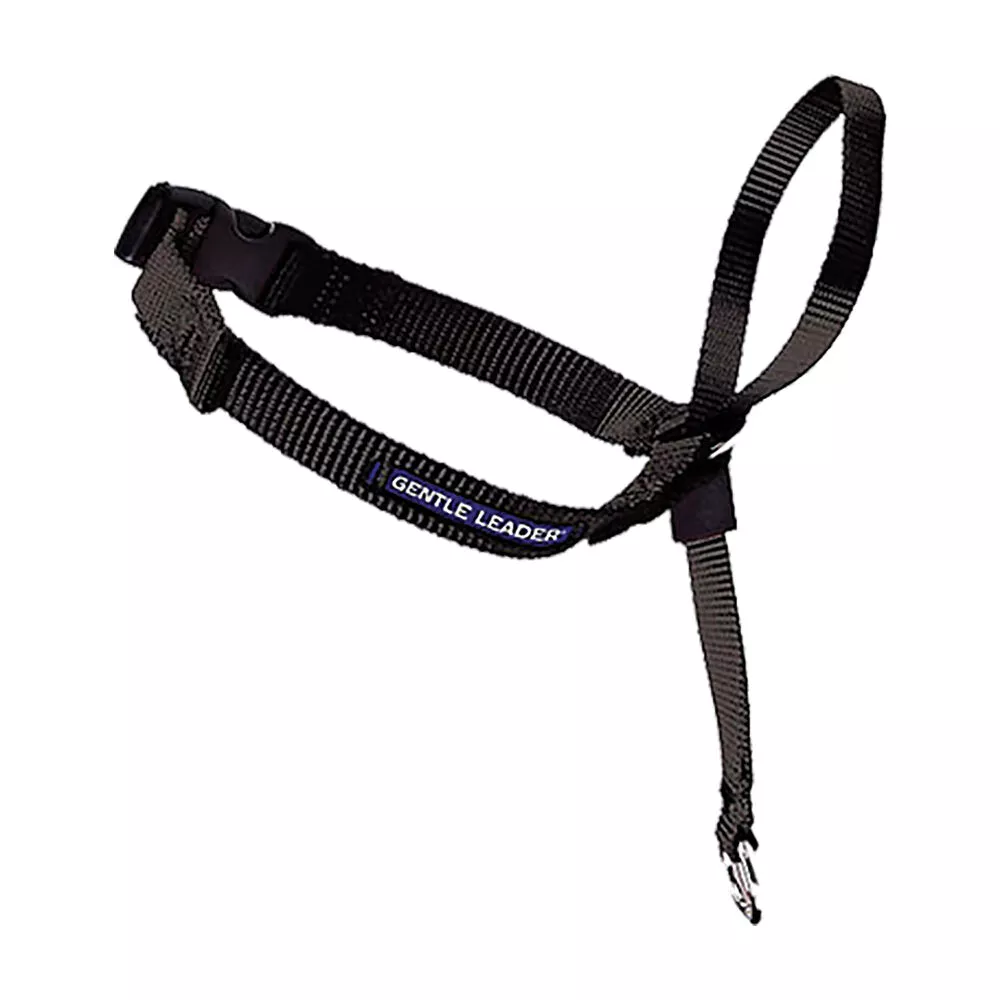 Leader - Black - Medium