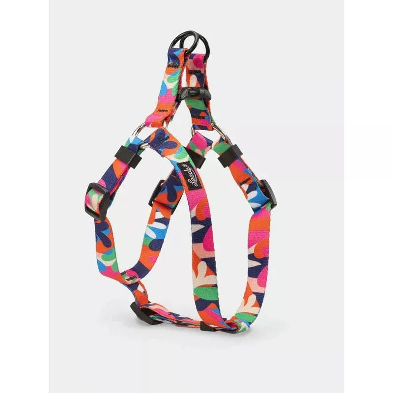 Leeds Dog Harness - Jane
