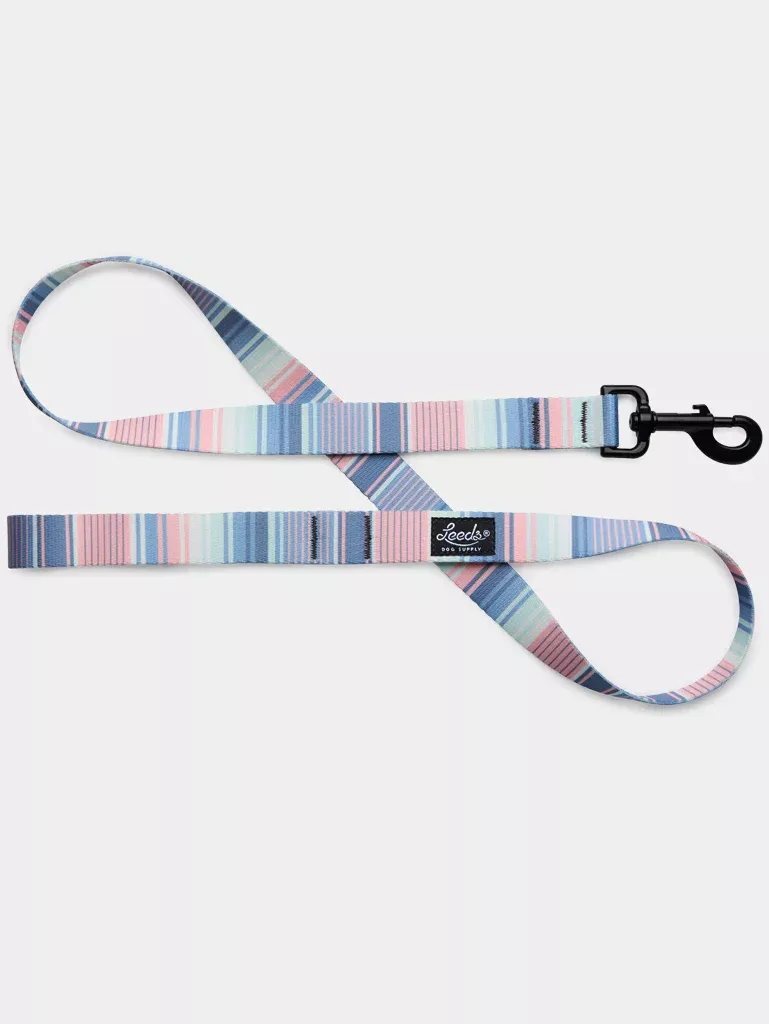 Leeds Dog Leash - Zuma