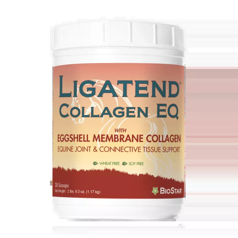 Ligatend Collagen EQ