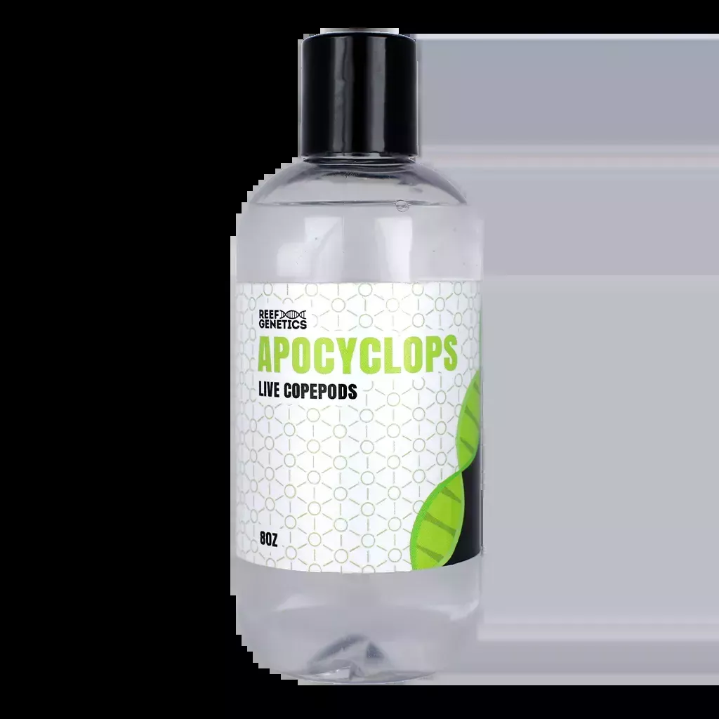 Live Apocyclops Copepods – Reef Genetics