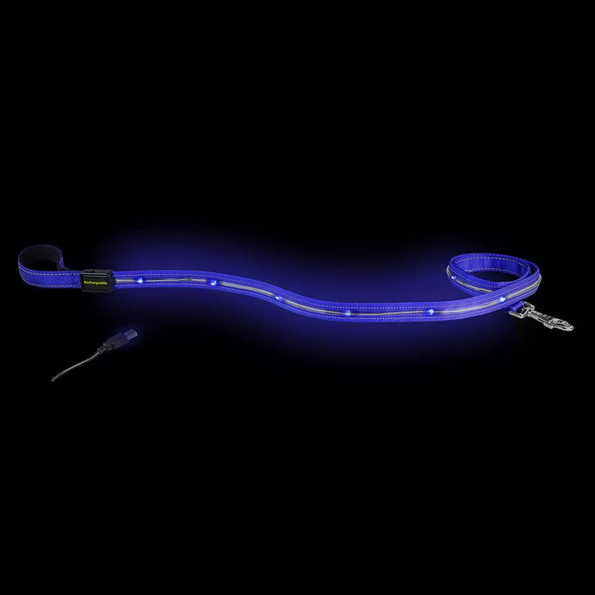 Loomo LED Dog Lead Blue