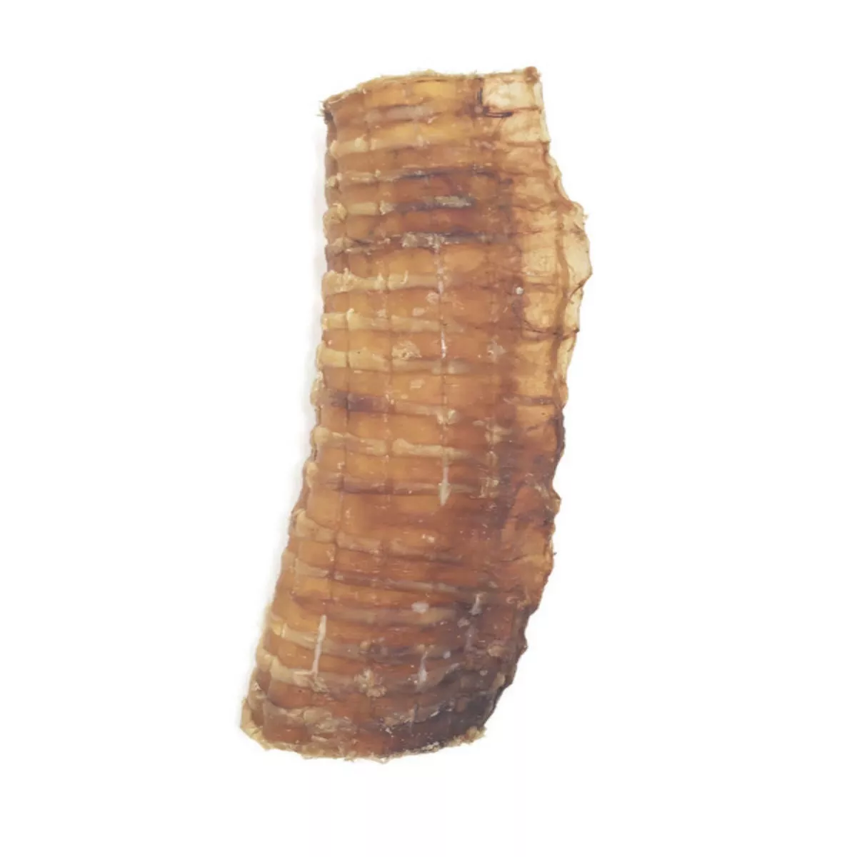 Mickeys Beef Trachea Strip for Dogs 6 in