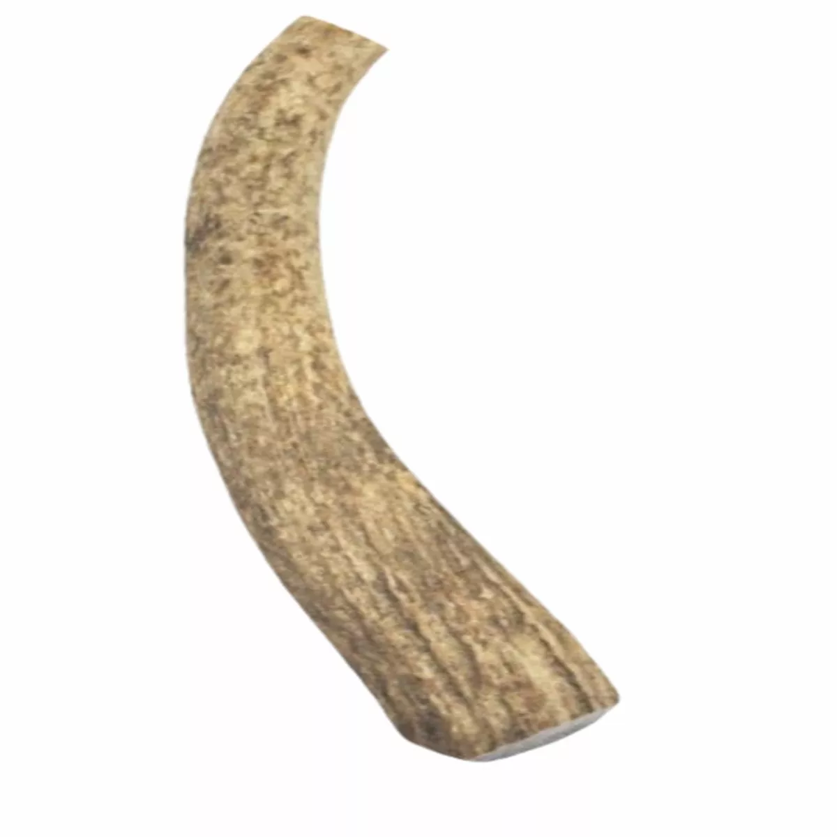 Mickeys Elk Antler Medium Whole