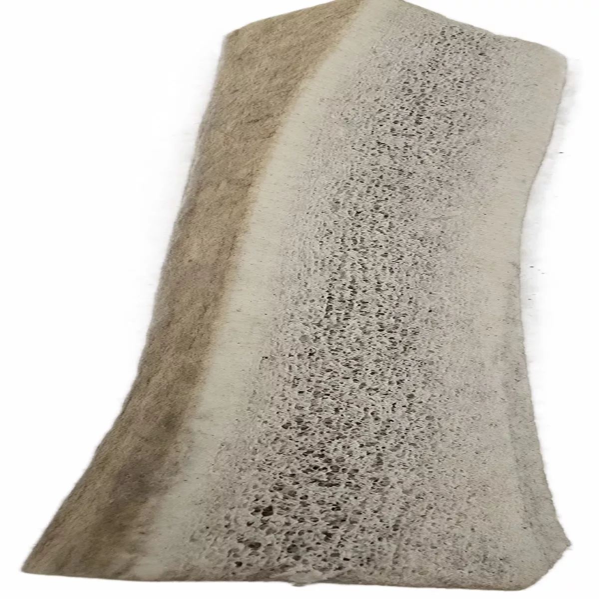 Mickeys Elk Antler Small Split