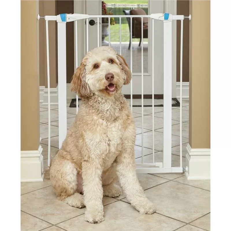 Midwest GLOW White Steel Pet Gatel