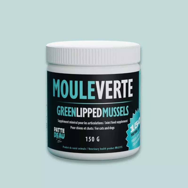 Moule Verte