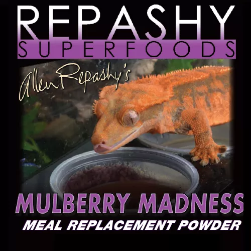 Mulberry Madness Crested Gecko Diet