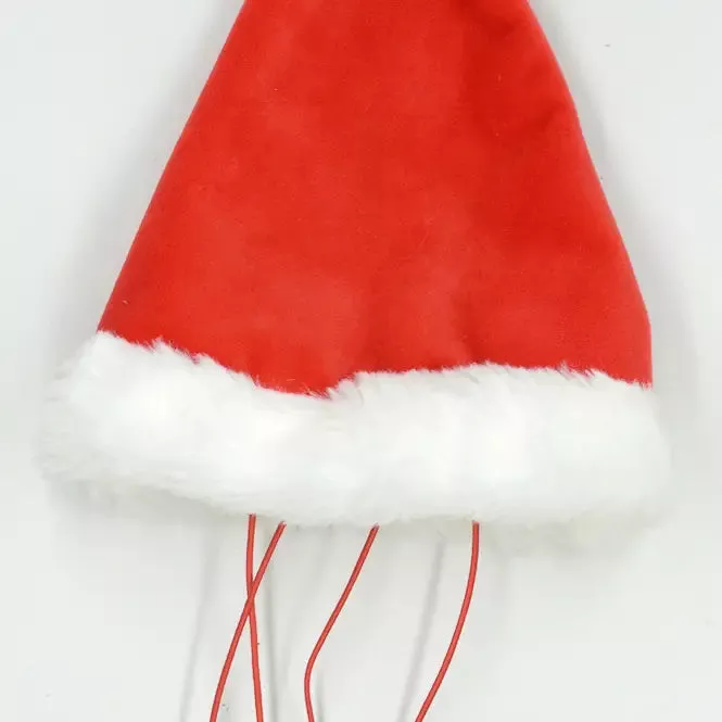 Multipet Santa Hat for Dogs & Cats
