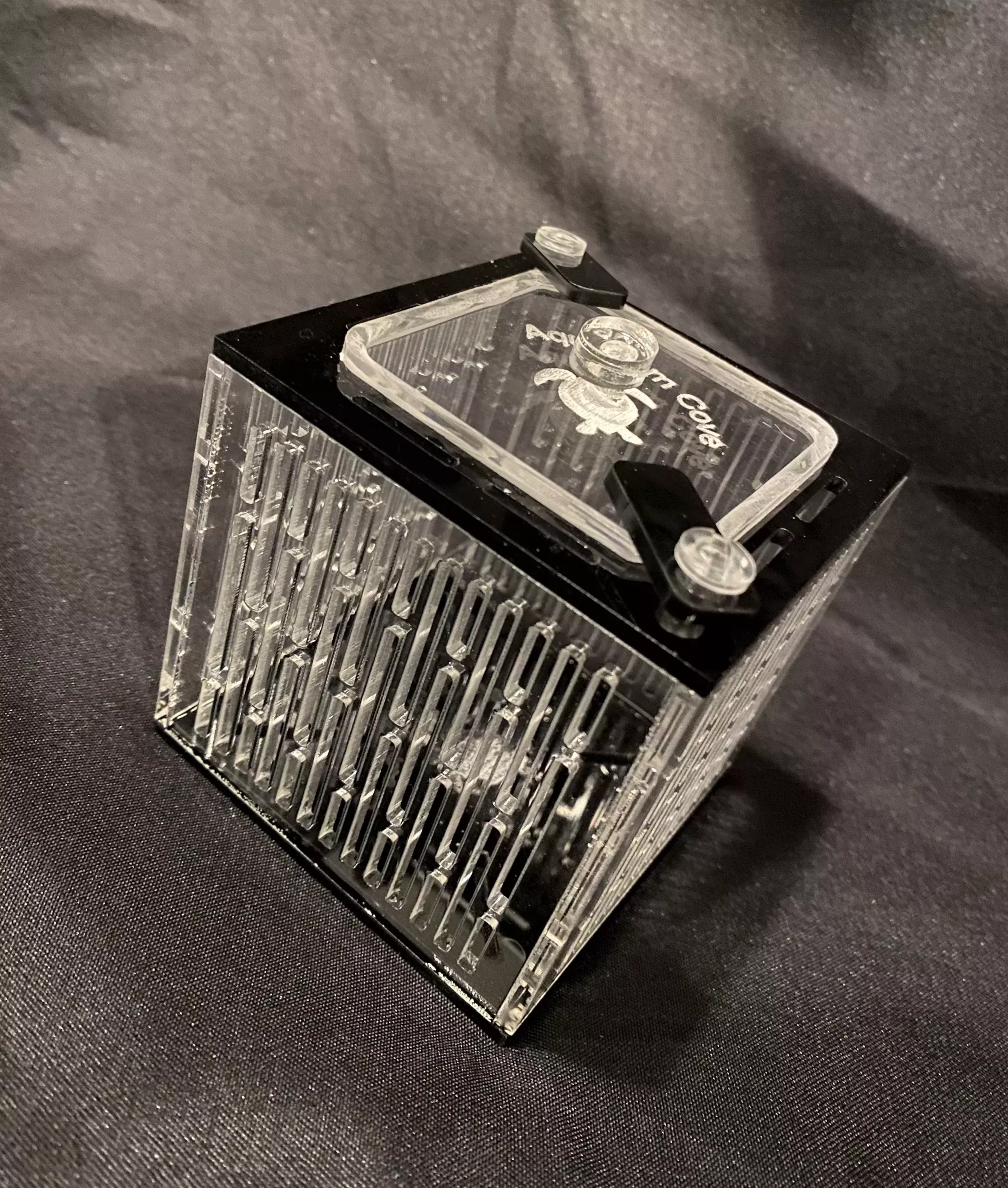 Nano Mushroom Box