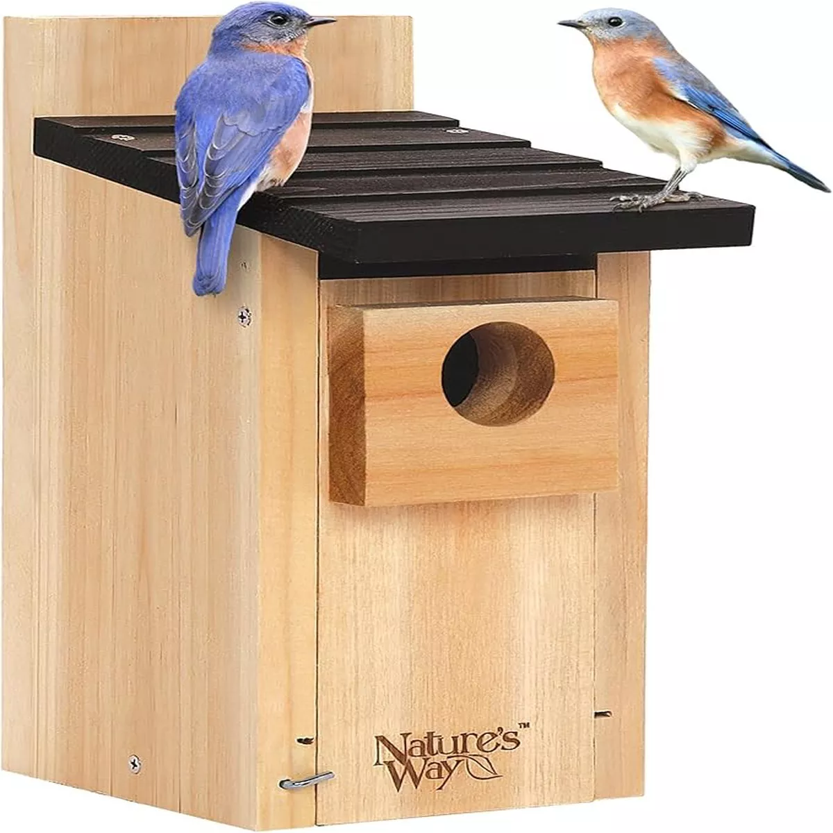 Nature's Way Cedar Bluebird Box House