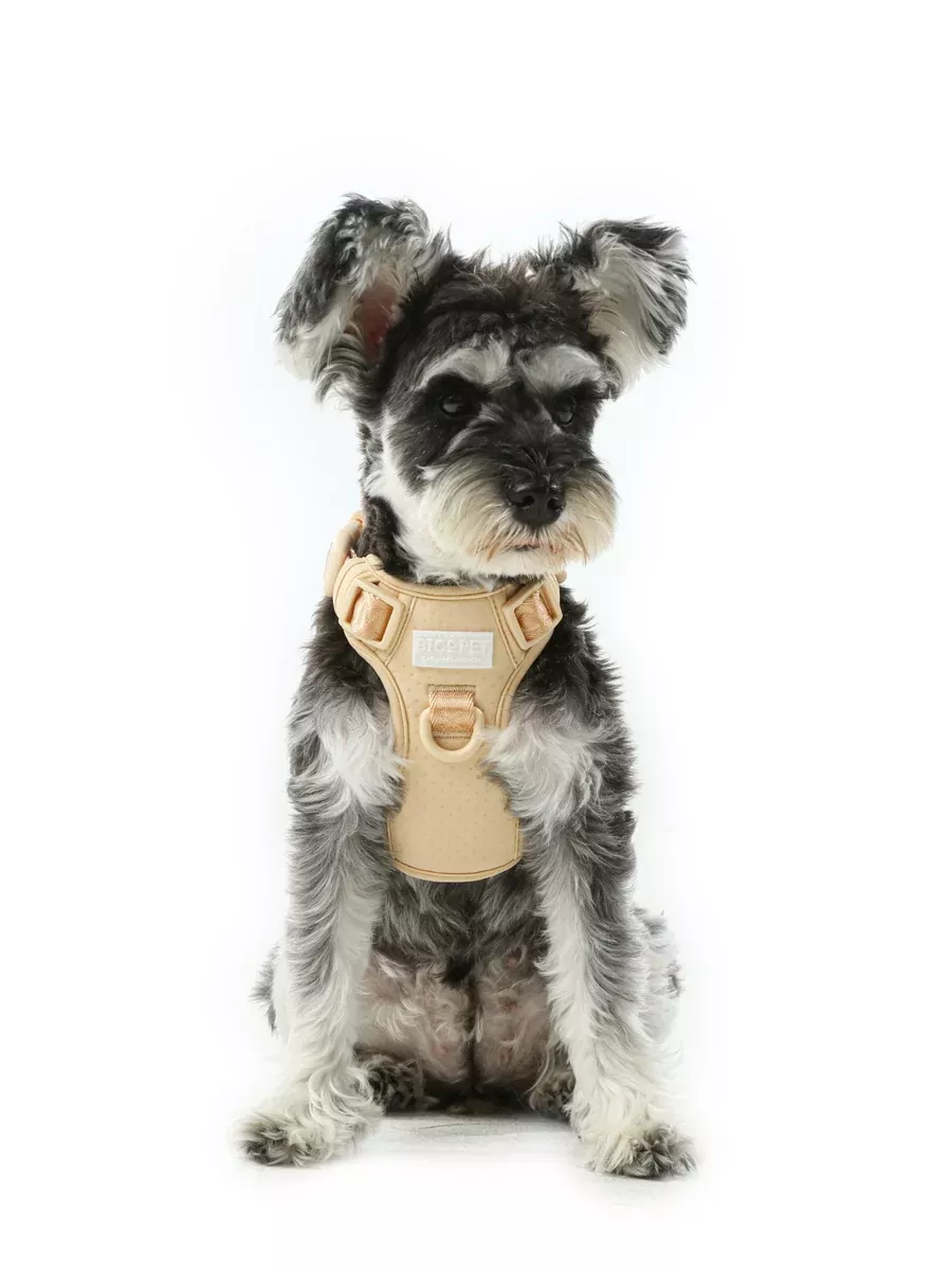 NO PULL ACTIVEPET HARNESS - APRICOT