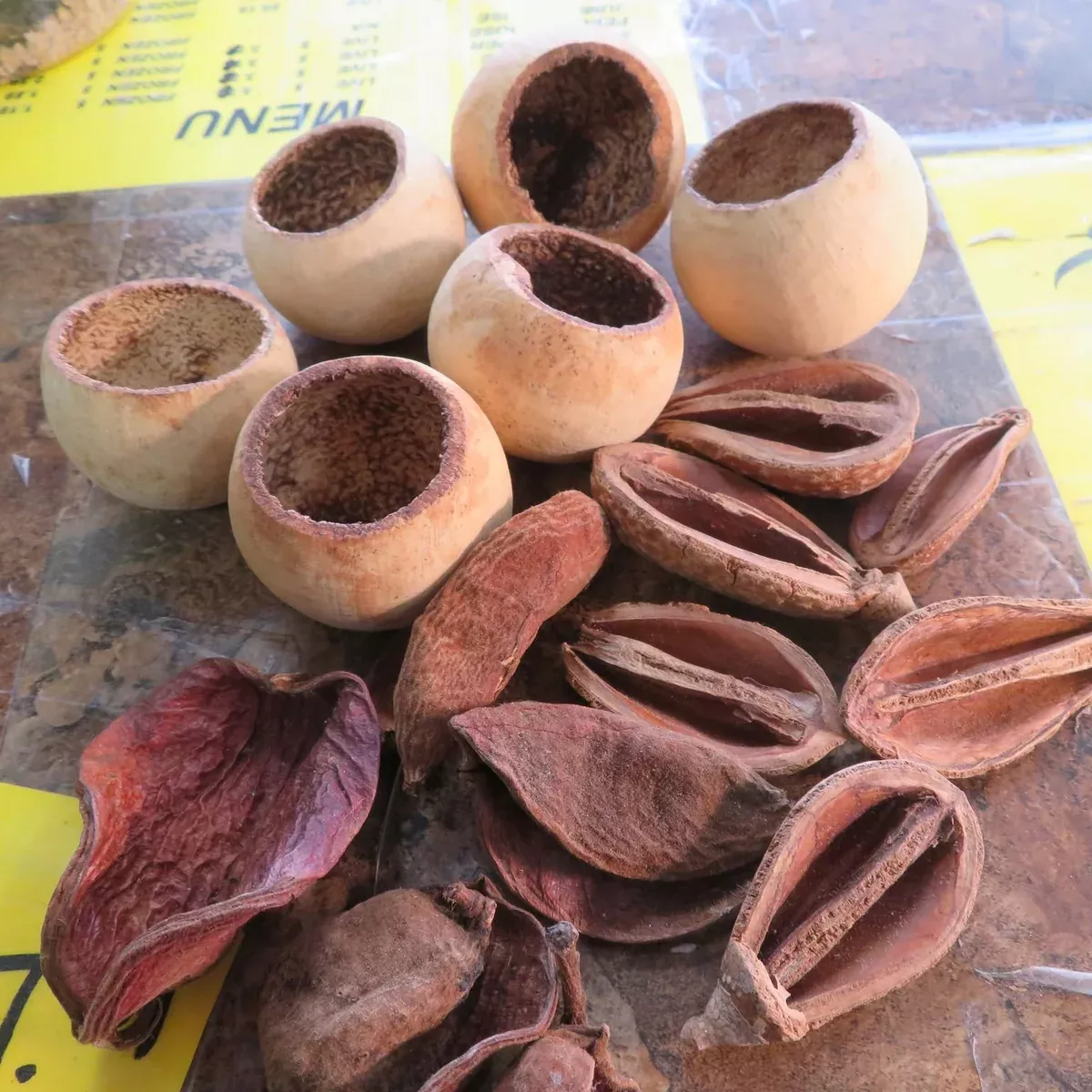 Nut Sack Botanicals