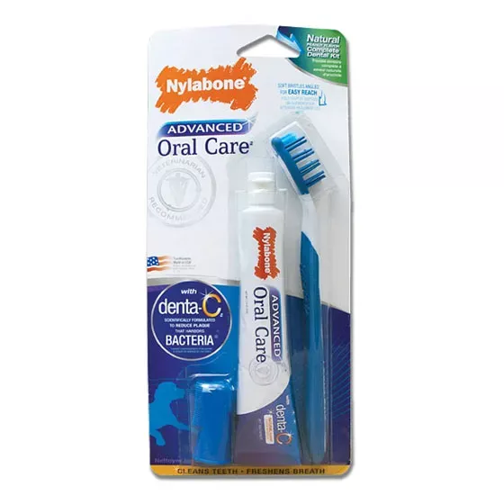 Nylabone Natural Complete Dental Kit