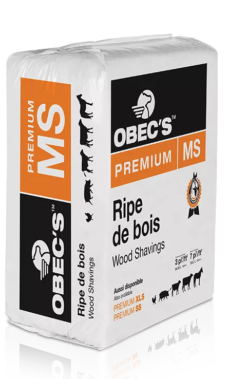 Obecs Premium Shavings MS 3 CF