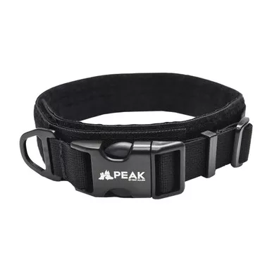Palmer Collar