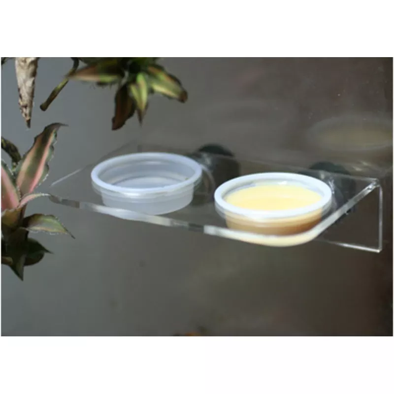 Pangea Acrylic Gecko Ledge – Magnetic