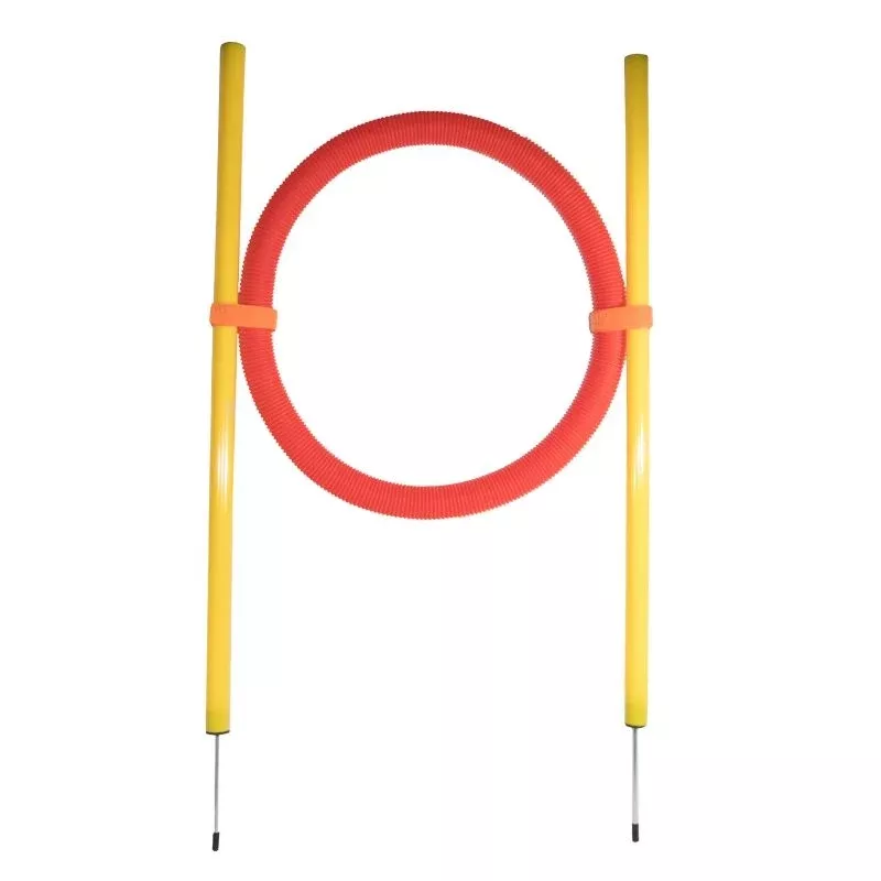 Pet Life Hoop Hopper Agility Dog Trainer Kit