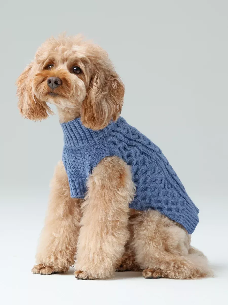 Pet Sweater Vest - Ice Blue