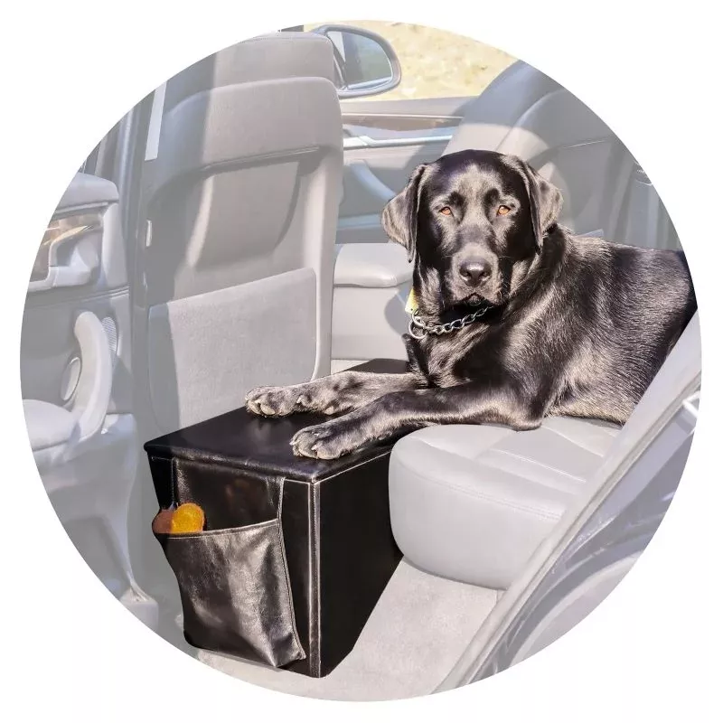 Pet Therapeutics Voyager Sturdy Backseat Extender