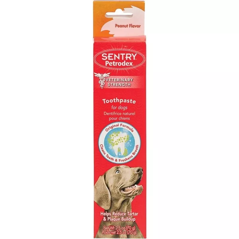 Petrodex Peanut Flavor Dog Toothpaste