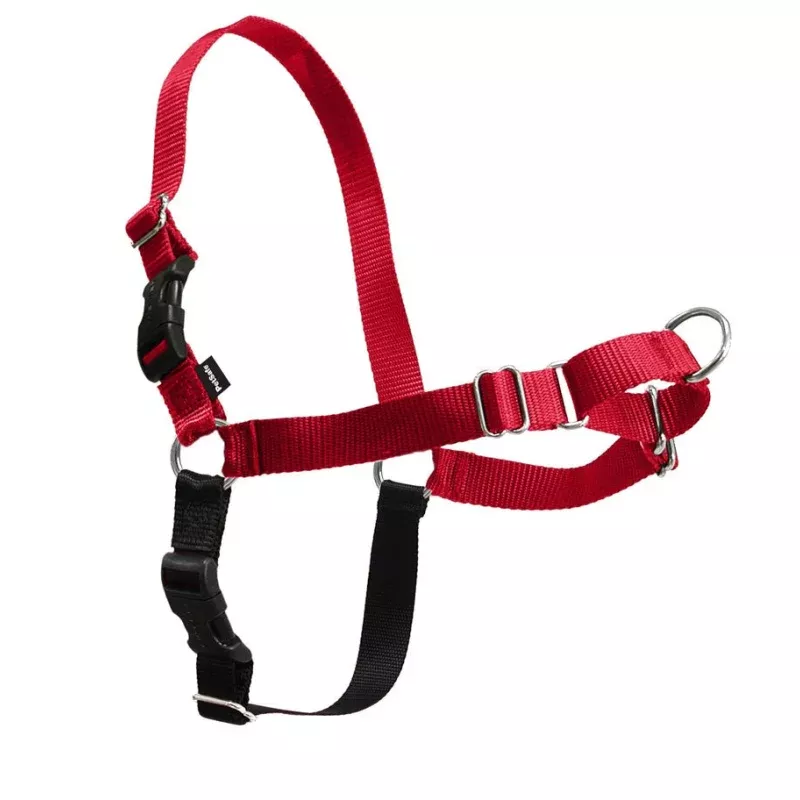 PetSafe Easy Walk Harness Black