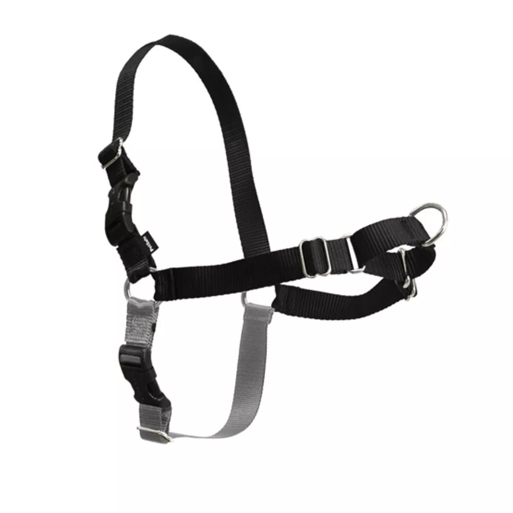 PetSafe, Harness - Black