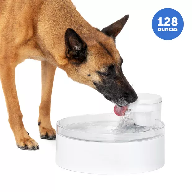 Petsafe Outlast Pet Fountain
