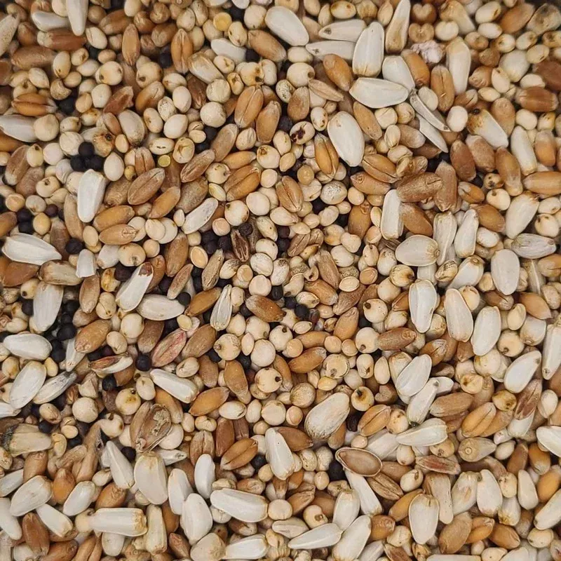 Pigeon Conditioner No Peas Seed Mix