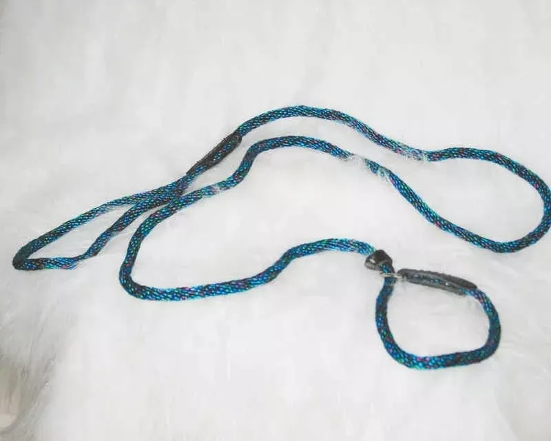 Polyrope Dog Quick Lead Combo 5/16 X6 Blue/Green