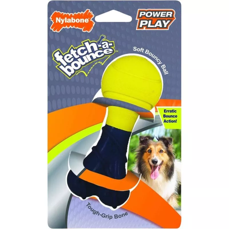 Power Play Fetch A Bounce