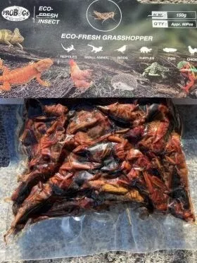 PROBUGS GRASSHOPPER150 GRAM