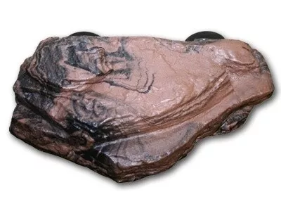 PT EARTH LEDGE SM