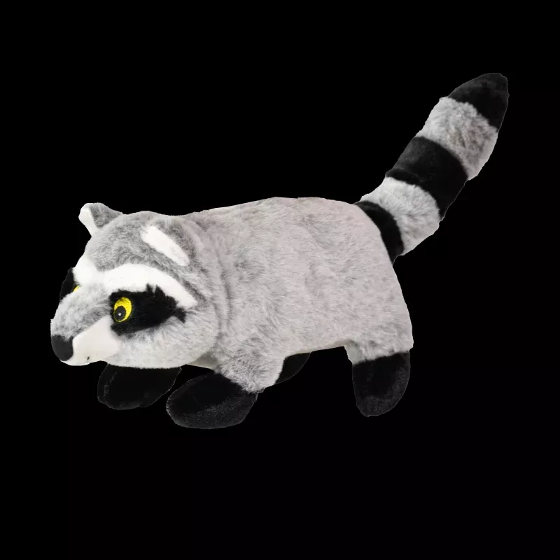 Raccoon