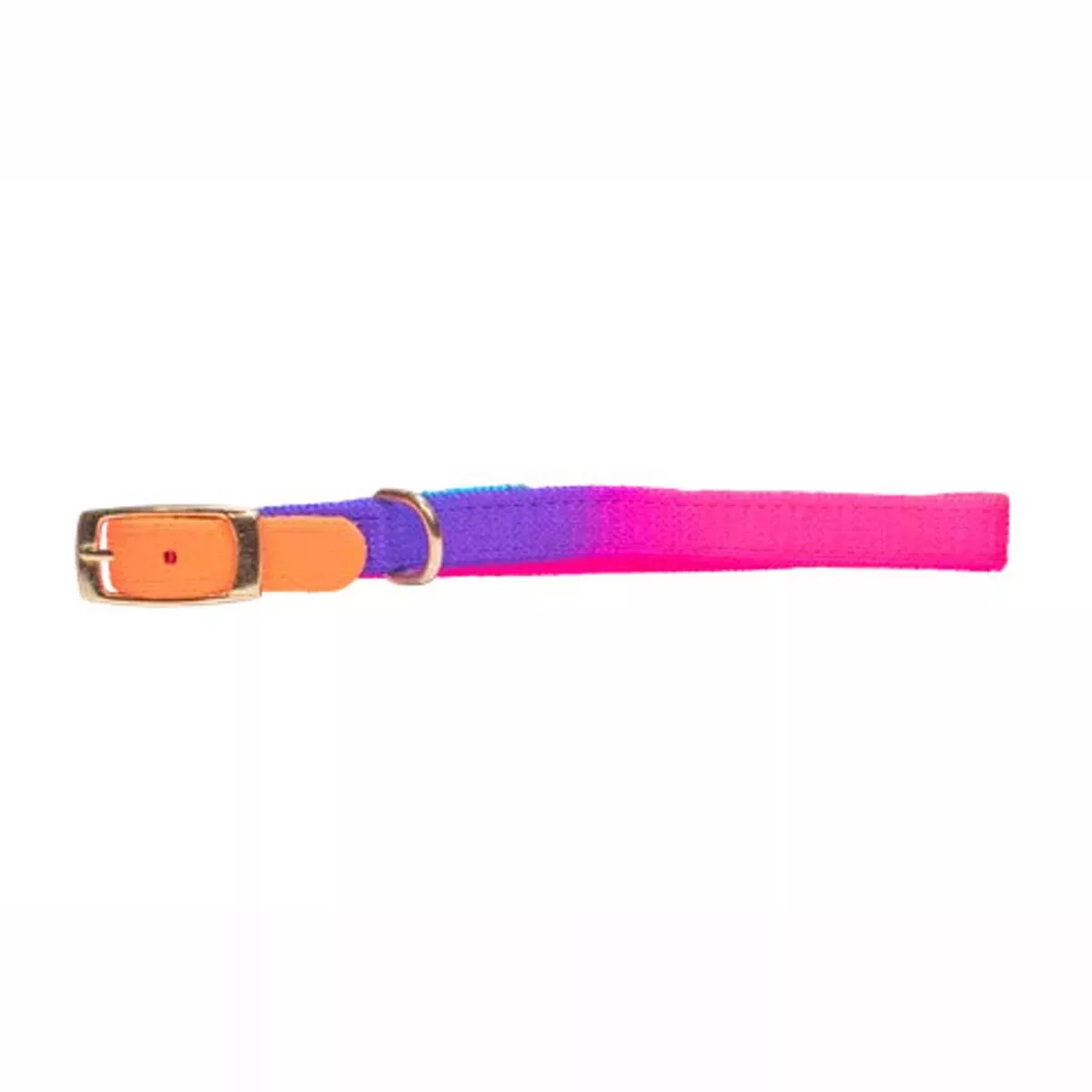 Rainbow Puppy Collar 10mm x 30cm