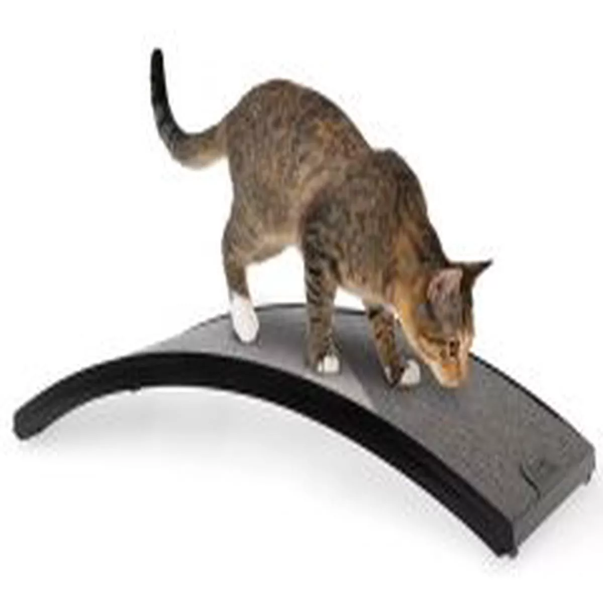 Rascador Scratcher Lrg
