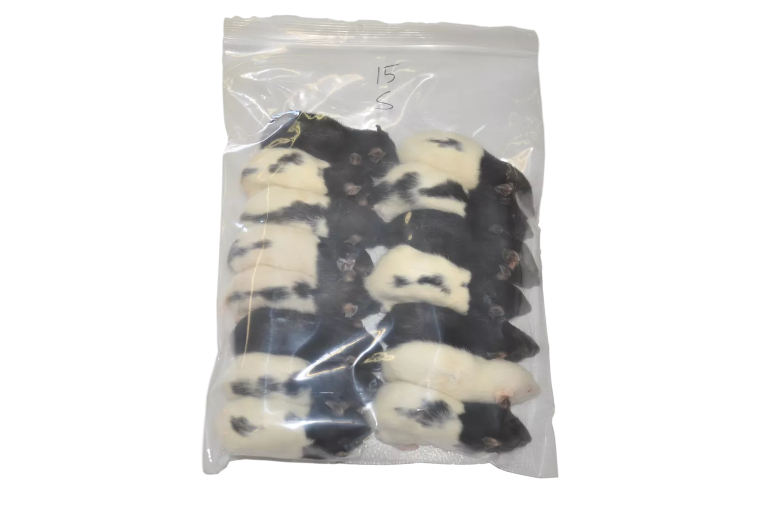 Rat - Small (15 per bag)