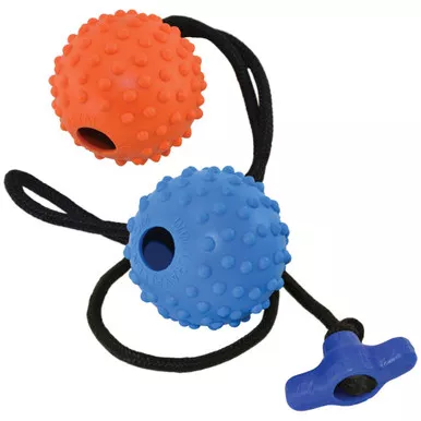 Ray Allen 2.5" Ball on a Rope