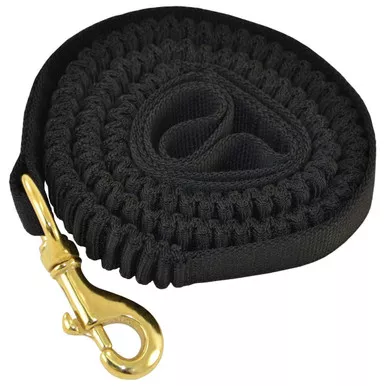 Ray Allen Bungee Leash