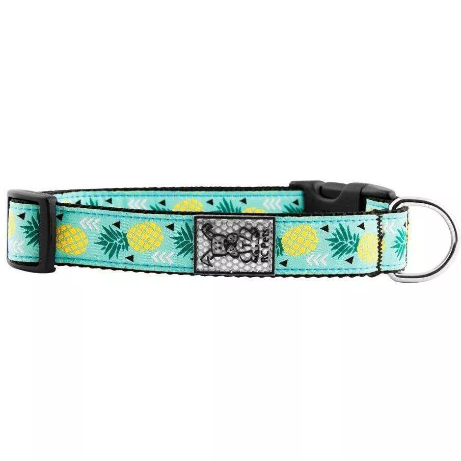 RC Dog Collar Pineapple Parade