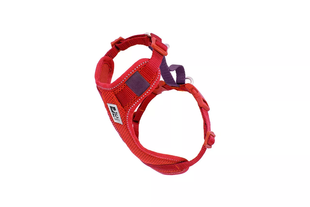 Rc Dog Moto Control Harness Goji Berry
