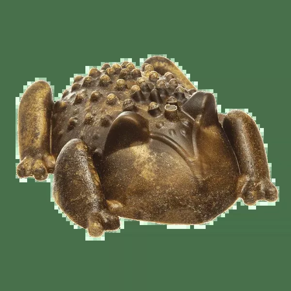 Red Barn Chew A Bulls Horned Toad