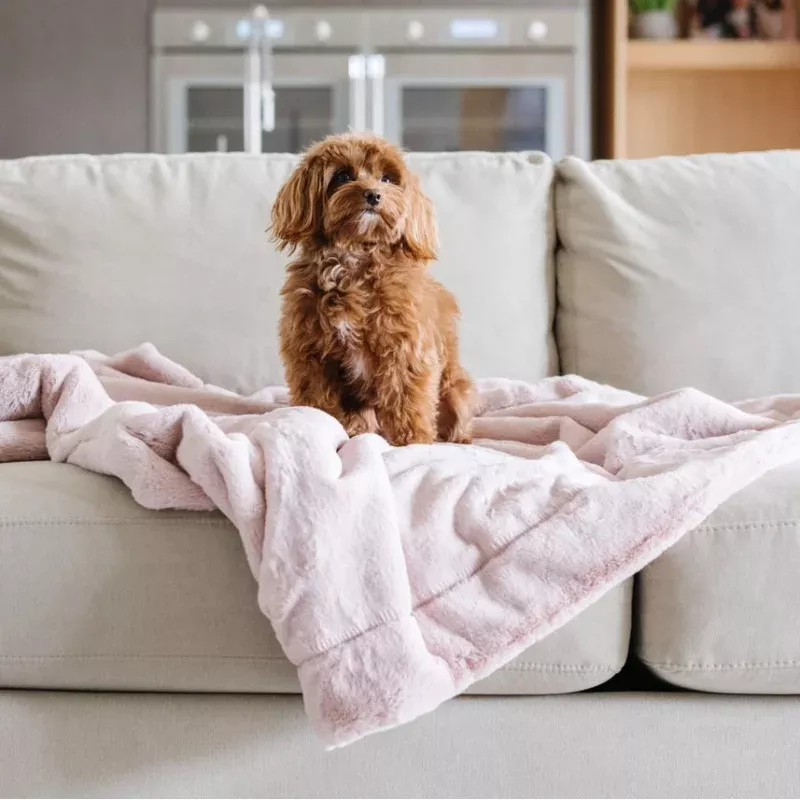 Saranoni Pet Blankets Powder Pink