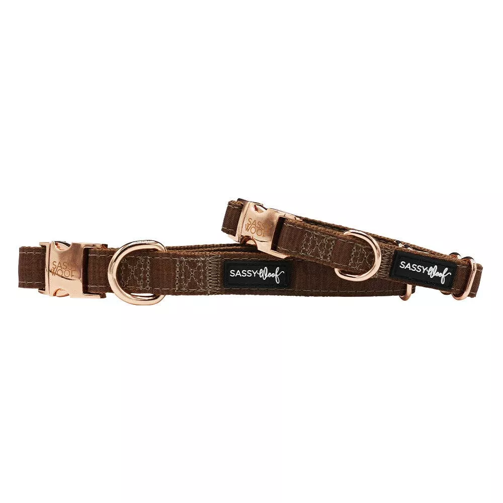 SASSY WOOF Teddy Dog Collar