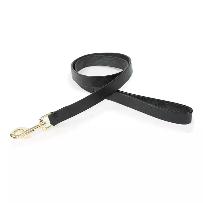 Shires Digby Fox Flat Leather Dog Lead