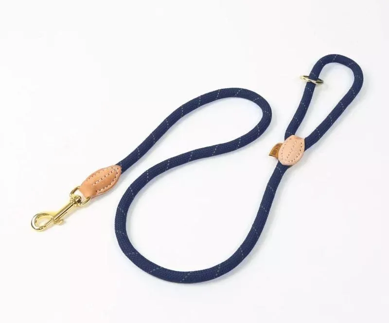 Shires Digby Fox Reflective Dog Lead